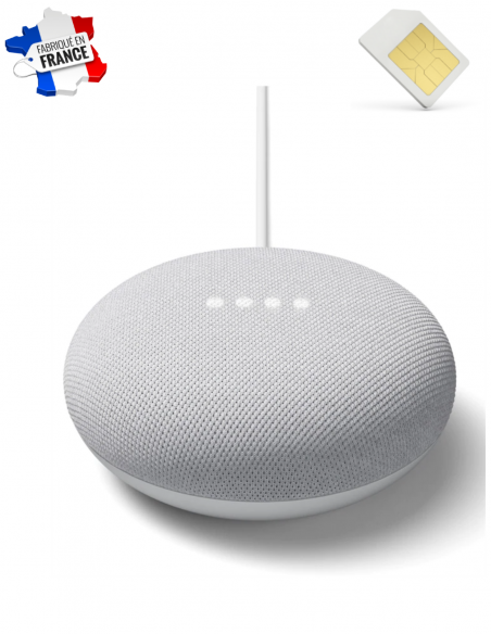 Assistant vocal google nest mini micro GSM