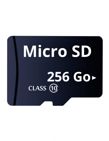 Carte mémoire Micro SD 256 Go