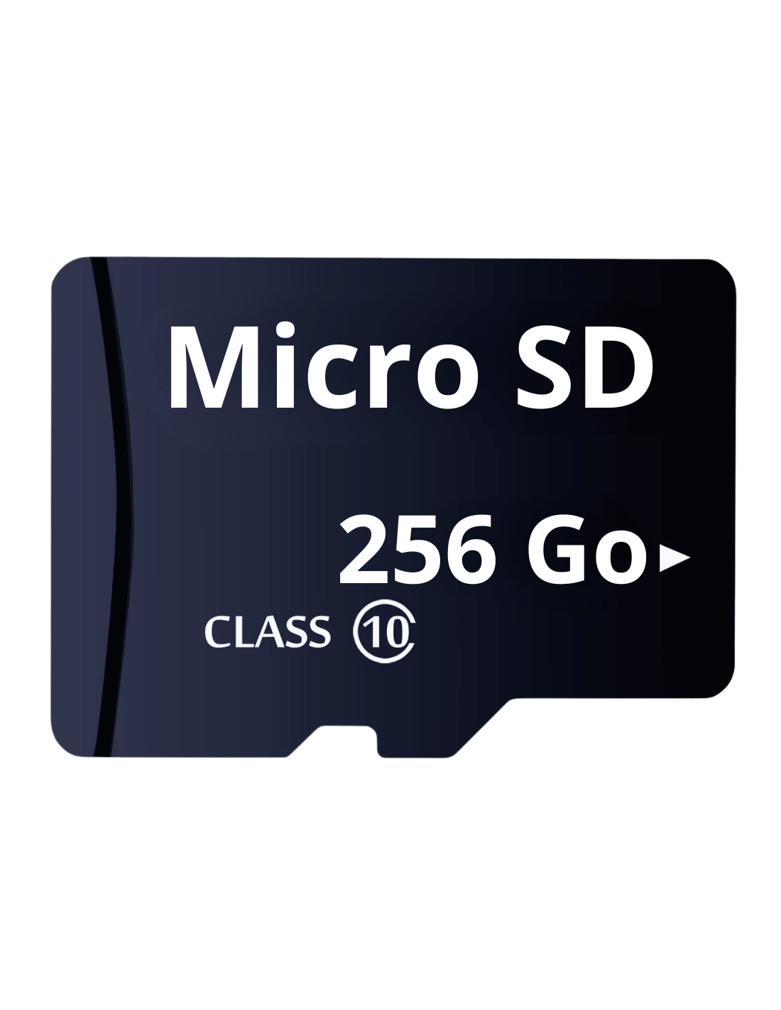 Carte Mémoire Micro SD 256 Go QUMOX - Classe 10, UHS-I - Pour Smartphone, Tablette, Drone, Appareil Photo