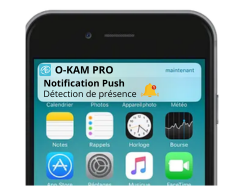 Alerte sur détection de mouvement